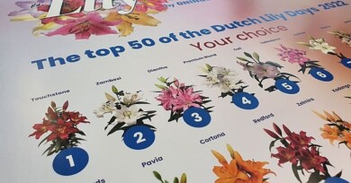 LilyLeague_2022_Onings