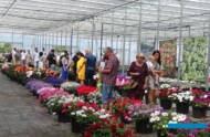 Dzień Otwarty SyngentaFlowers_Łabiszyn-2022_fotA-Cecot_m