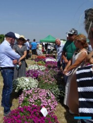 Dni Otwarte SyngentaFlowers_Kolbuszowa 2022_B-Pierzchalski z klientami_fot.A-Cecot