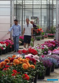 Michał Pieleń z klientami_Dzień Otwarty SyngentaFlowers_Łabiszyn-2022_fotA-Cecot