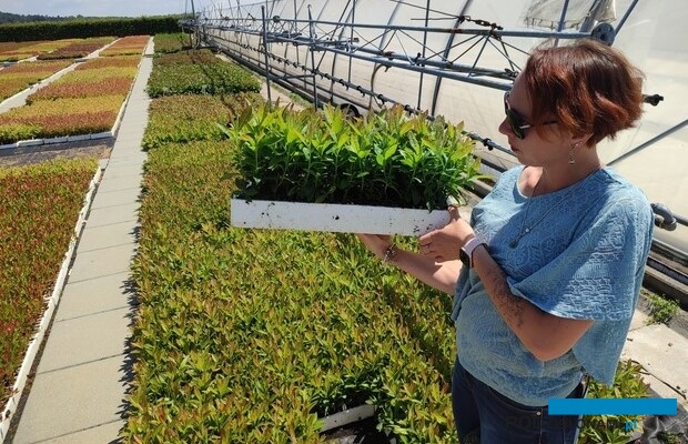 Justyna Kusibab-Mruk z sadzonkami borówki