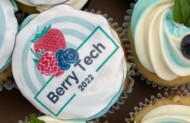 poczęstunek z logo Berry Tech 2022