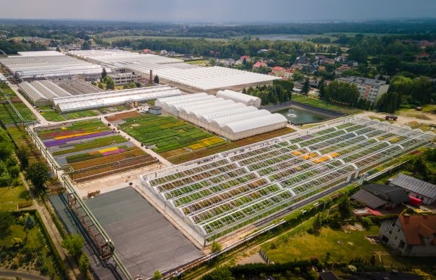 Infrastruktura w Plantpolu wzbogaciła się o 2 nowe obiekty uprawowe - bloki foliowe (na 1. planie tunel z całkowicie otwieranymi bokami i dachem, w 2. rzędzie - mniejszy tunel 8-nawowy, obok którego widać dużą kontenerownię), fot. Plantpol