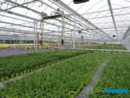 Wnętrze nowego bloku foliowego Rovero, w którym nawadnianie (fertygacja) odbywa się za pomocą samojezdnych ramion_Plantpol-2022_fot-A-Cecot