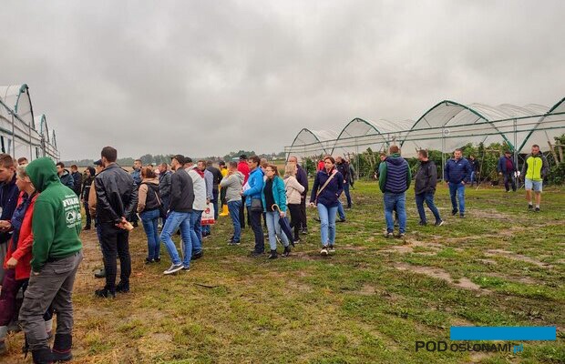 Berry Tech 2022 - część w tunelach z uprawą malin