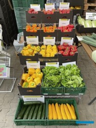 Ekspozycja odmian warzyw z firmy Enza Zaden