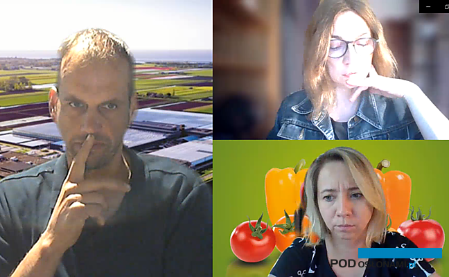 Mike Lemmen oraz Agnieszka Wiśniewska z firmy Enza Zaden oraz autorka tekstu Anna Wize, redaktor portalu Pod Osłonami podczas rozmowy online.