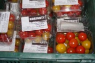 Tak oferowane są pomidory typu cherry z uprawy pp. Korfantych