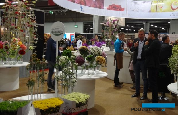 Trade Fair Aalsmeer - listopadowe targi roślin ozdobnych, które odbywają się w obiektach największej giełdy kwiatowej w Holandii (i na świecie), fot. A. Cecot