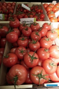 Na pierwszym planie pomidor malinowy Maturbo