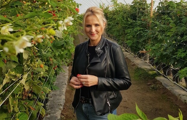 Izabella Witczak, firma Boryna