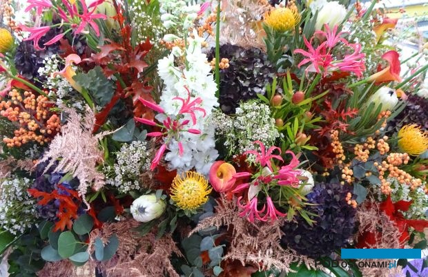 IFTF2022 (fot. A. Cecot)