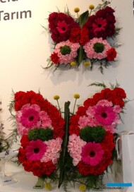 TurkishFlowerGroup_IFTF2022_fot-A-Cecot