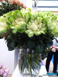 Róże 'Veggie' ze stoiska przedsiębiorstwa The Elite Flower_IFTF-2022_fot-A-Cecot