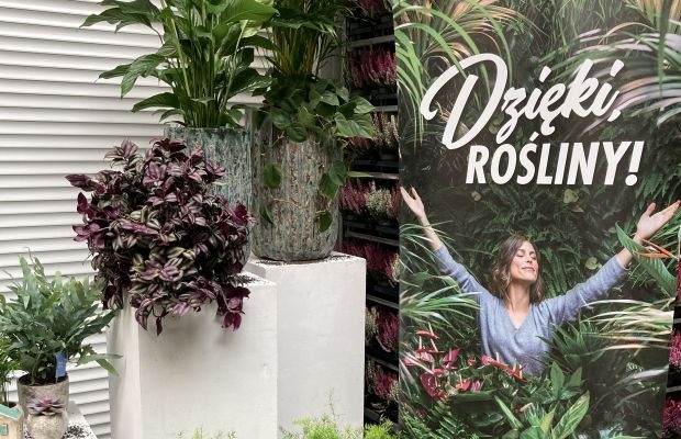 Kampania „Dzięki, rośliny!” ma promować sprzedaż pokojowych roślin doniczkowych (fot. Sigma International Poland)