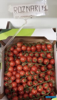 Roznari RZ - odmiana typu cherry o malinowych owocach