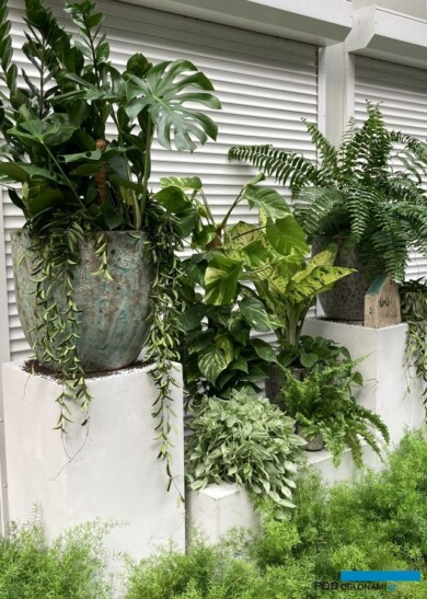 Fragment "wystawki" na rynku hurtowym w Broniszach, zrealizowanej w ramach akcji "Dzięki, rośliny!" (fot. Sigma Int. Poland)