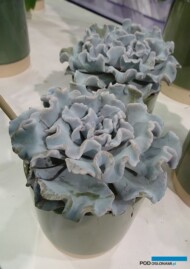 Echeveria 'Crispy Beauty' _TradeFairAalsmeer 2022_fot. A-Cecot