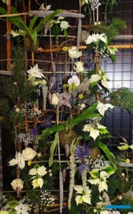 KonkursMlodychTalentowFlorystycznych_Weronika Kwiatek-Binda_Świąteczna witryna sklepowa_Gardenia2022_fot.A-Cecot