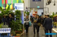 Targi IPM Essen 2023 otworzyły wiosenny sezon w międzynarodowej branży roślin ozdobnych i po dłuższej przerwie stanowiły ważne miejsce biznesowych spotkań (fot. A. Cecot)