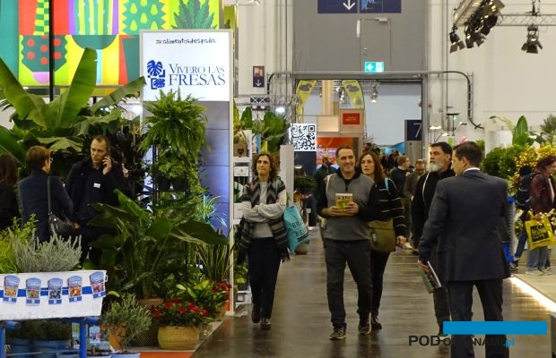 Targi IPM Essen 2023 otworzyły wiosenny sezon w międzynarodowej branży roślin ozdobnych i po dłuższej przerwie stanowiły ważne miejsce biznesowych spotkań (fot. A. Cecot)