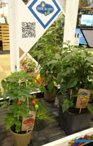 Koncepcja Pick-&-Joy_IPM-Essen-2023_fot. A. Cecot