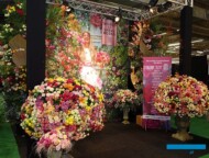 Ekspozycja grupy The World of Sprayroses® (gałązkowe róże z 4 kontynentów, głównie z Afryki_TradeFairAalsmeer2022__fot. A-Cecot