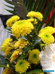 chryzantema_Brasiliana-galazkowo_DummenOrange_TradeFairAalsmeer2022_fot.A-Cecot