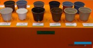 Doniczki ulegające biodegradacji_cz II_IPM Essen 2023_fot. A. Cecot