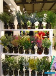 Zieleń cięta - typowy włoski produkt eksportowy (tu: na stoisku hurtowni Giambin Fiori)_Myplant Garden 2023_fot. A. Cecot