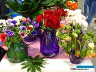 Zawilce wieńcowe, jaskry i maki (o rosnącej popularności) - charakterystyczne dla Italii kwiaty z wczesnowiosennej oferty. Tu: z ekspozycji kooperatywy Tre Ponti z rejonu San Remo, która promowała swoją produkcję podczas targów Myplant & Garden 2023 (fot. A. Cecot)