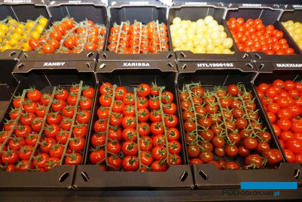 Pomidory specjalne z oferty firmy Axia