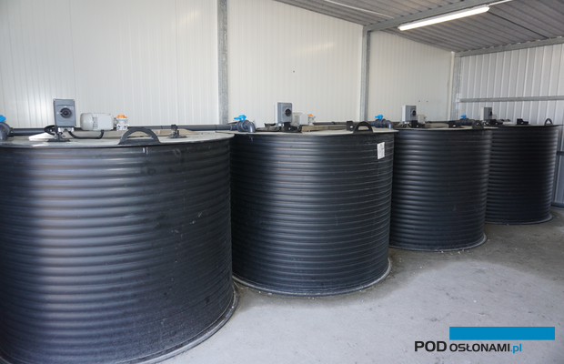 Zbiorniki na pożywki