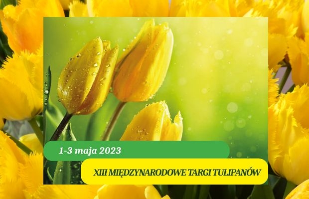 XIII Miedzynarodowe Targi Tulipanow