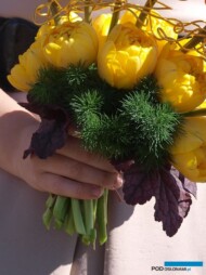 Tulipany 'Yellow Pompenette' - w bukiecie_fot.-A-Cecot