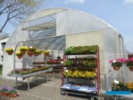 Centrum ogrodowe "Szała 127" - Kwiaty na balkony_fot. A-Cecot