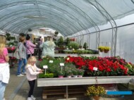 w centrum ogrodowym Szała 127 Kwiaty na balkony_2-maja-2023_fot. A-Cecot