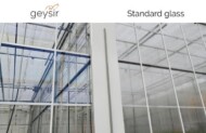 szkło Geysir z firmy AGCULTURE