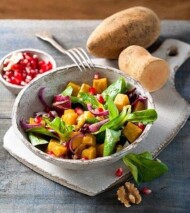 Batat – odmiana z serii Vineland Erato_Volmary