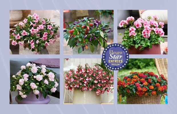 FleuroStar 2023, fot. Fleuroselect