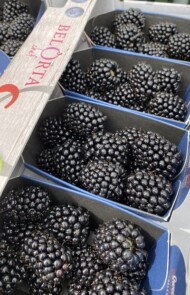 Owoce jeżyny Sweet Royala