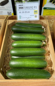 Ogórek pod numerem MIN190192