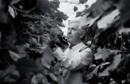 Śp. Peter Koppert