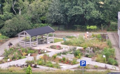 Ogrod Wrazen im. Joanny Krause_UniwersytetPrzyrodniczy w Poznaniu_fot. A-Krzyminska-Brodka