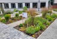 Ogrod Wrazen im. Joanny Krause_UniwersytetPrzyrodniczy w Poznaniu_fot. A-Krzyminska-Brodka