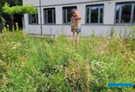 Łąka kwietna_Ogrod Wrazen im. Joanny Krause_UniwersytetPrzyrodniczy w Poznaniu_fot. A-Krzyminska-Bródka