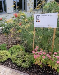 Ogród Wrażeń im. J. Krause przy Kolegium Zembala Uniwersytetu Przyrodniczego w Poznaniu_fot. A-Krzyminska-Brodka