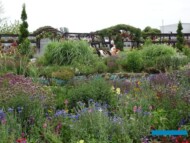 Nasadzenia zgodne z trendem "bliżej natury"_Gawartowa Wola_Dni Otwarte firmy Volmary 2023_fot. A. Cecot