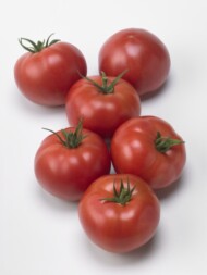 Pomidor malinowy Corsica (E15A.42914) z wysoką odpornością na ToBRFV - HREZ
