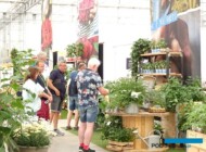 Volmary_FlowerTrials 2023_rośliny użytkowe_fot. A-Cecot